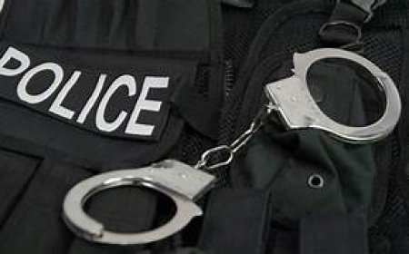 ନକଲି ଶିକ୍ଷକ ପରେ ଏବେ ନକଲି ଅଧ୍ୟାପକ,୨ନିଲମ୍ବିତ