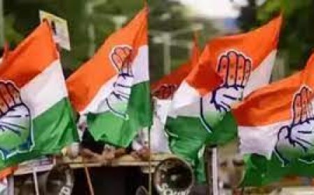 କଳା ପୋଷାକ ପିନ୍ଧି ପାଣ୍ଡିଆନ୍ ଗୋ-ବ୍ୟାକ୍ ନାରା ଦେଲେ କଂଗ୍ରେସ କର୍ମୀ