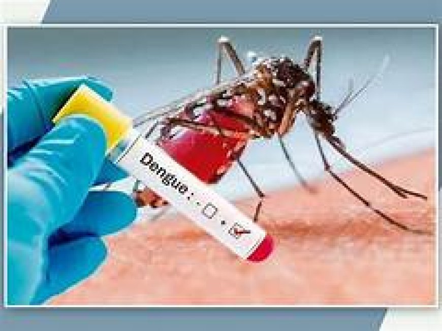ରାଜ୍ୟରେ ୨୭ଶହ ଟପିଲା ଡେଙ୍ଗୁ ରୋଗୀଙ୍କ ସଂଖ୍ୟା