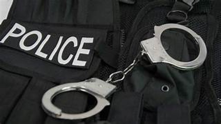 ନକଲି ଶିକ୍ଷକ ପରେ ଏବେ ନକଲି ଅଧ୍ୟାପକ,୨ନିଲମ୍ବିତ