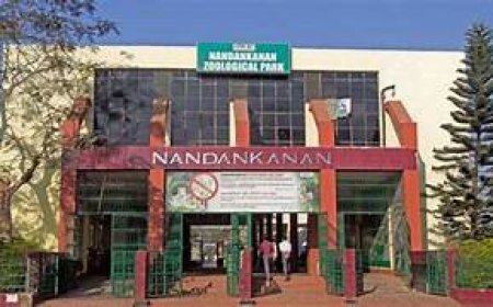 ନନ୍ଦନକାନନକୁ ଆସିଲେ ୪ ନୂଆ ଅତିଥି