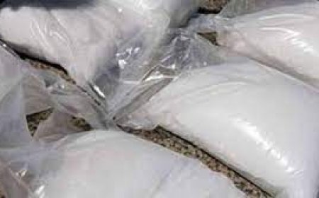 କୋଟିଏରୁ ଅଧିକ ମୂଲ୍ୟର ବ୍ରାଉନସୁଗର ଜବତ