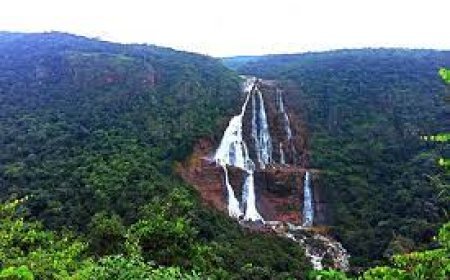 ଶିମିଳିପାଳରେ  ୧୧୧୫ ଫୁଟ୍‌ର ଜଳପ୍ରପାତ ଠାବ