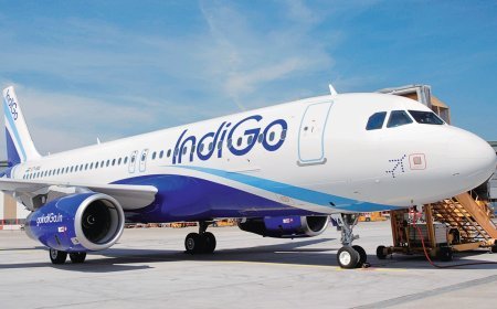 ‘ଇଣ୍ଡିଗୋ’ ବିମାନର ଜରୁରୀକାଳୀନ ଦ୍ବାର ଖୋଲିବାକୁ ଉଦ୍ୟମ କରିଥିବା ଯାତ୍ରୀ ଅଟକ