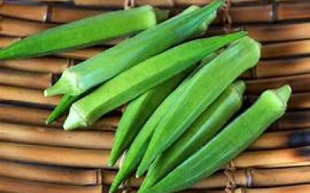 ସ୍ୱାସ୍ଥ୍ୟ ପାଇଁ  କ୍ଷତିକାରକ  ଭେଣ୍ଡି