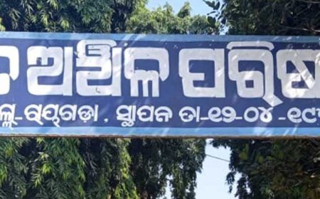 ରାୟଗଡ଼ା ଜିଲ୍ଲାରେ ଅଜଣା ଜନ୍ତୁ ଆକ୍ରମଣରେ ୩୦ ଛେଳି ମୃତ