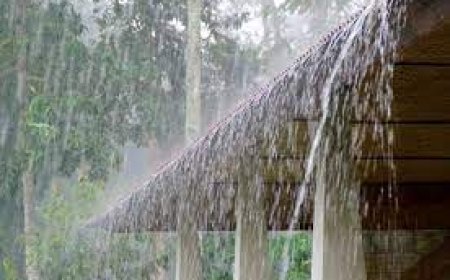 ବର୍ଷା: ଆଜି ୧୦ ଜିଲ୍ଲାକୁ ୟେଲୋ ଆଲର୍ଟ ଜାରି