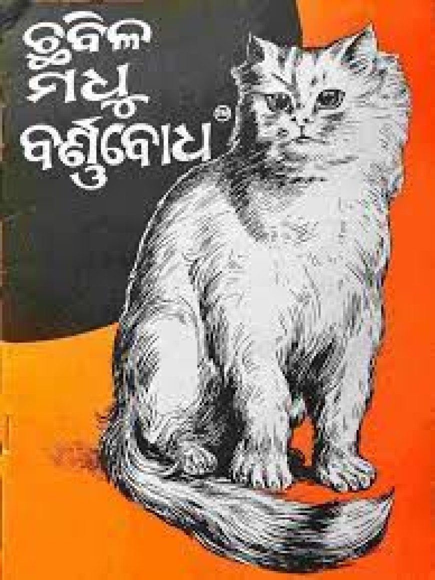 ପୁଣି ଥରେ ପ୍ରକାଶ ପାଇବ ଛବିଳ 'ମଧୁ ବର୍ଣ୍ଣବୋଧ'