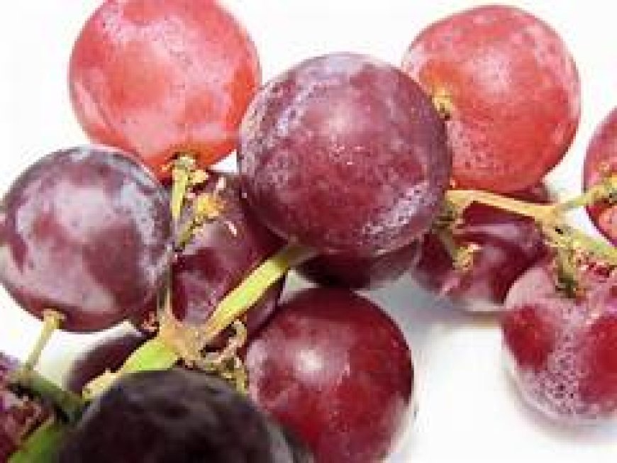 ନାଲି ଅଙ୍ଗୁର ଖାଇବା  ଲାଭଦାୟକ