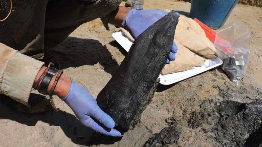 ମିଳିଲା ୪ ଲକ୍ଷ ୭୬ ହଜାର ବର୍ଷ ପୁରୁଣା କାଠ ସାମଗ୍ରୀ 