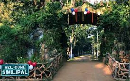 ଖୁସି ଖବର: ଖୋଲିଲା ଶିମିଳିପାଳ ଅଭୟାରଣ୍ୟ