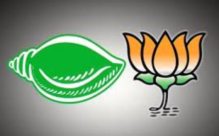 ବିରୋଧୀଙ୍କ ମୁହଁରେ ବିଜେଡିର ପ୍ରଂଶସା