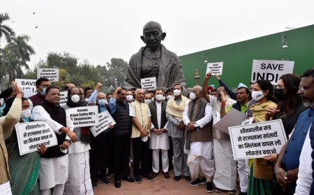 ଗାନ୍ଧୀ ପ୍ରତିମୂର୍ତ୍ତି ତଳେ ସସପେଣ୍ଡ ହୋଇଥିବା ସାଂସଦଙ୍କ ଧାରଣା