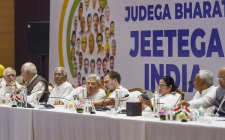 ଆଜି ଦିଲ୍ଲୀରେ ବସିବ ଇଣ୍ଡିଆ ମେଣ୍ଟର ବୈଠକ