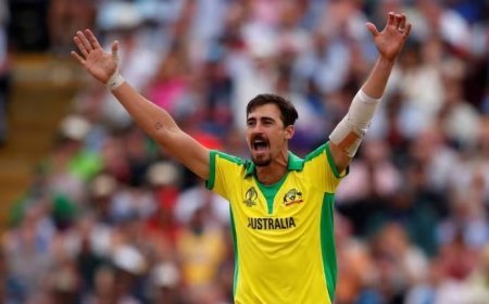 IPL ନିଲାମୀରେ ଇତିହାସ: ୨୪ କୋଟି ୭୫ ଲକ୍ଷ ଟଙ୍କାରେ ବିକ୍ରି ହେଲେ ମିଚେଲ ଷ୍ଟାର୍କ