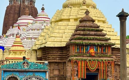 ଆଜି ବନକଲାଗି ନୀତି ପାଇଁ  ୪ ଘଣ୍ଟା ପାଇଁ ସର୍ବସାଧାରଣ ଦର୍ଶନ ବନ୍ଦ ରହିବ