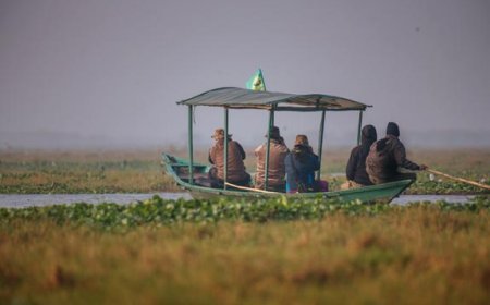 ଚିଲିକାରେ ଆରମ୍ଭ ହେଲା ପକ୍ଷୀ ଗଣନା, 21ଟି ଟିମ୍ ମୃତୟନ