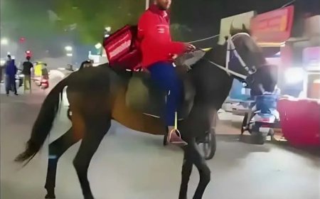 ହାଇଦ୍ରାବାଦ ଜୋମାଟୋ ଡେଲିଭରି ଏଜେଣ୍ଟ ଇନ୍ଧନ ଅଭାବ ସମୟରେ  ଘୋଡ଼ାରେ ବସି ଖାଦ୍ଯ଼ ପହଞ୍ଚାଉଛନ୍ତି