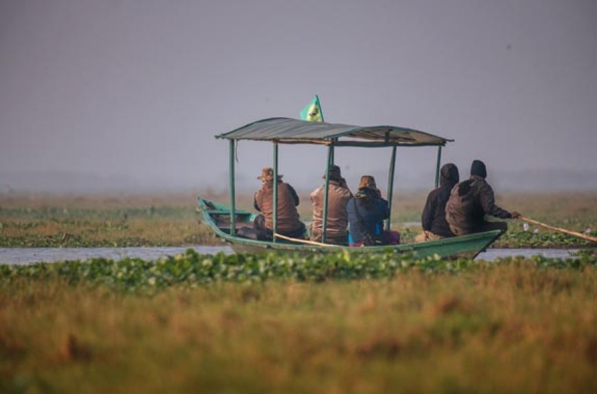 ଚିଲିକାରେ ଆରମ୍ଭ ହେଲା ପକ୍ଷୀ ଗଣନା, 21ଟି ଟିମ୍ ମୃତୟନ