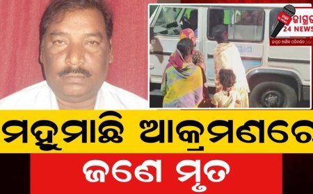 ହରିହରପୁର ଗାଁରେ ମହୁମାଛି ଆତଙ୍କ ; ଜଣେ ମୃତ, ୨୫ ଜଣ ଆହତ