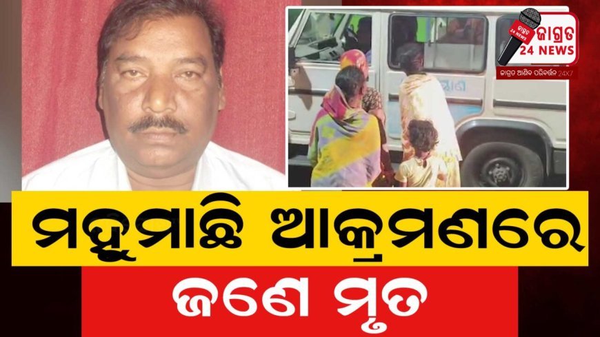 ହରିହରପୁର ଗାଁରେ ମହୁମାଛି ଆତଙ୍କ ; ଜଣେ ମୃତ, ୨୫ ଜଣ ଆହତ