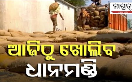 ଆଜିଠୁ ରାଜ୍ୟରେ ଆରମ୍ଭ ହେବ ଧାନକିଣା