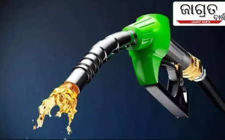 କମିଲା କି ବଢିଲା ପେଟ୍ରୋଲ ରେଟ? ଆଜି କେତେ ଅଛି ଓଡିଶା ପ୍ରାଇସ...